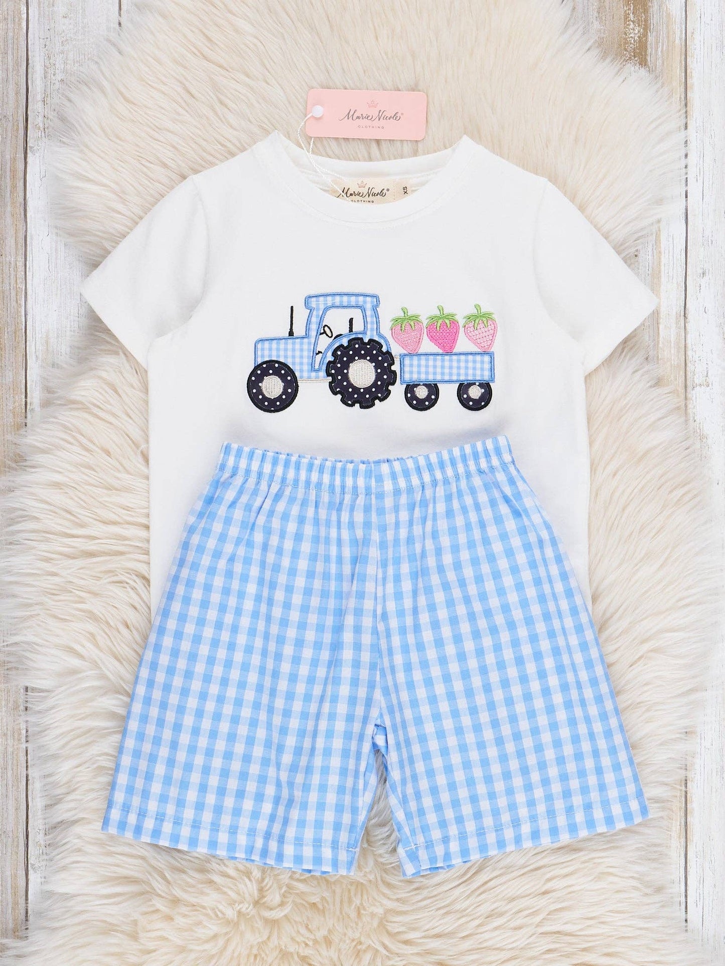 Gingham Embroidered Fruit Truck Outfit