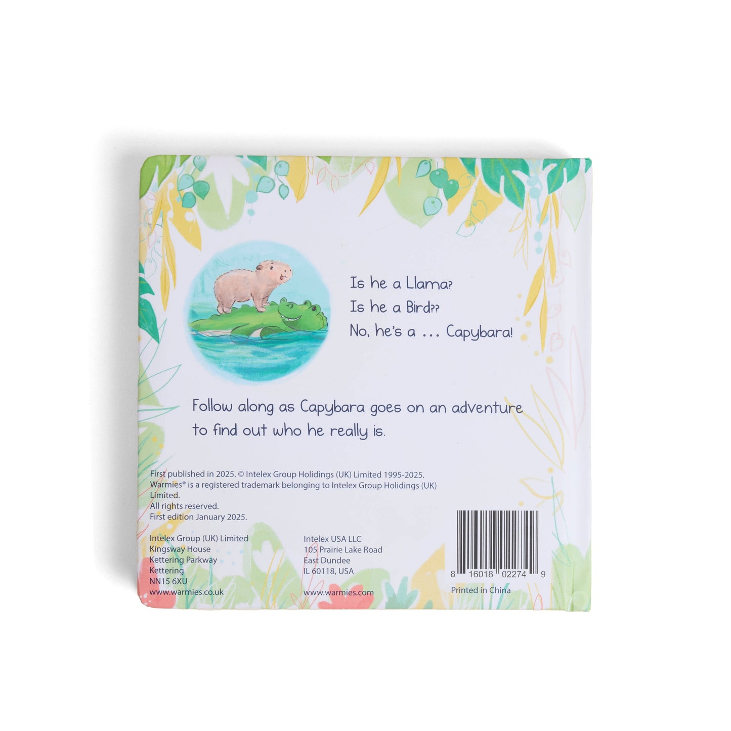 Capybara Board Book
