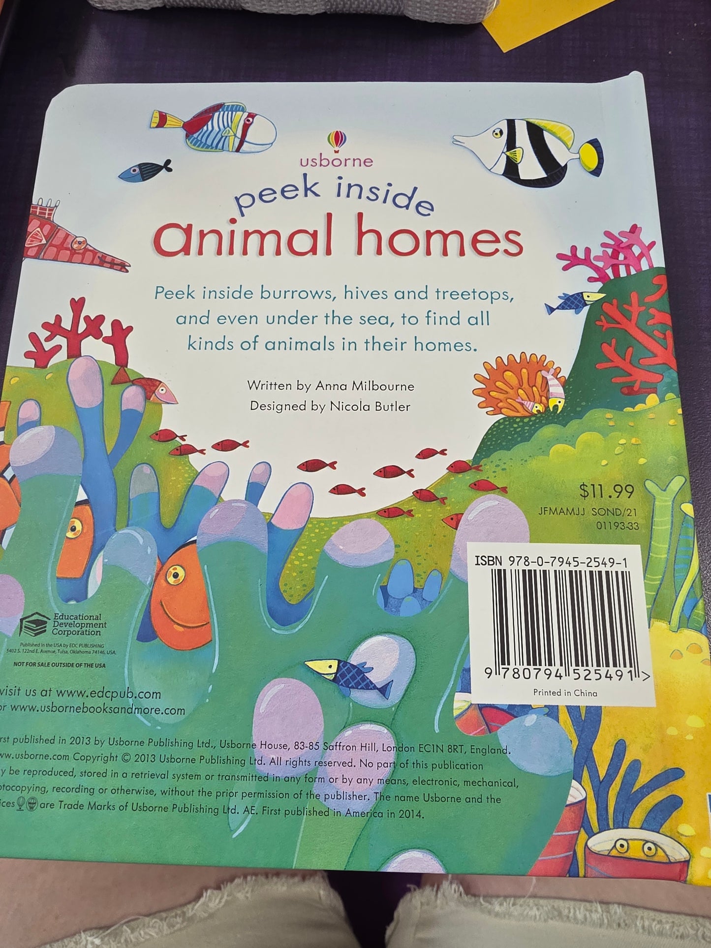 Peek Inside Animal Homes