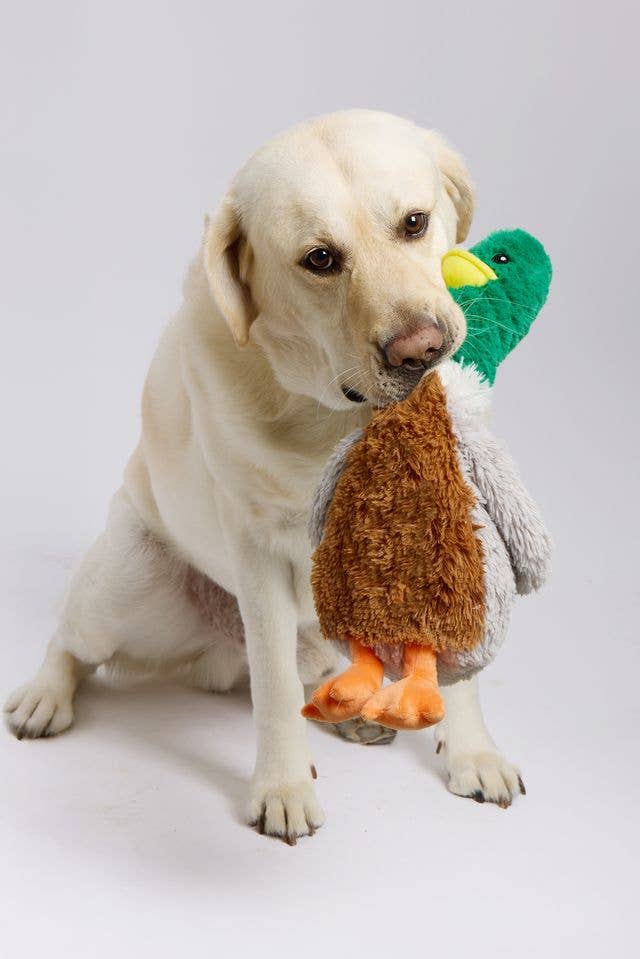 Mallard Pet Toy Warmies - For Pets