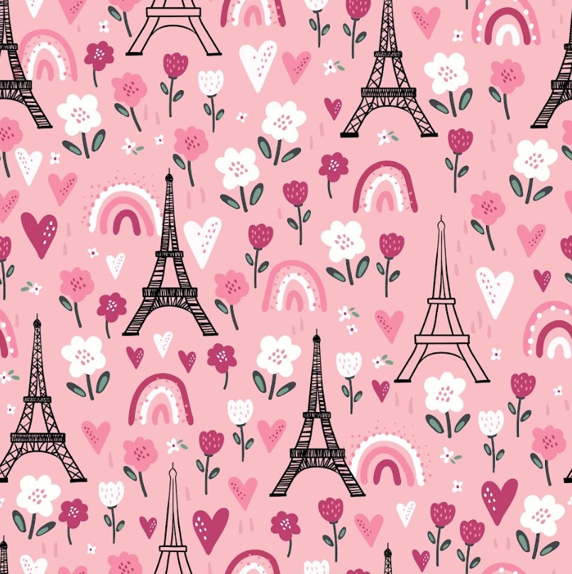 Paris Amour Minky Blanket
