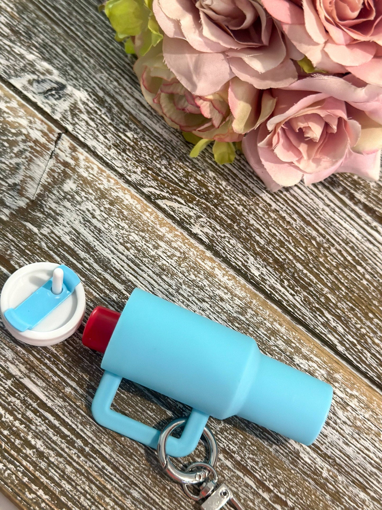 Blue Stan Mini Keychain