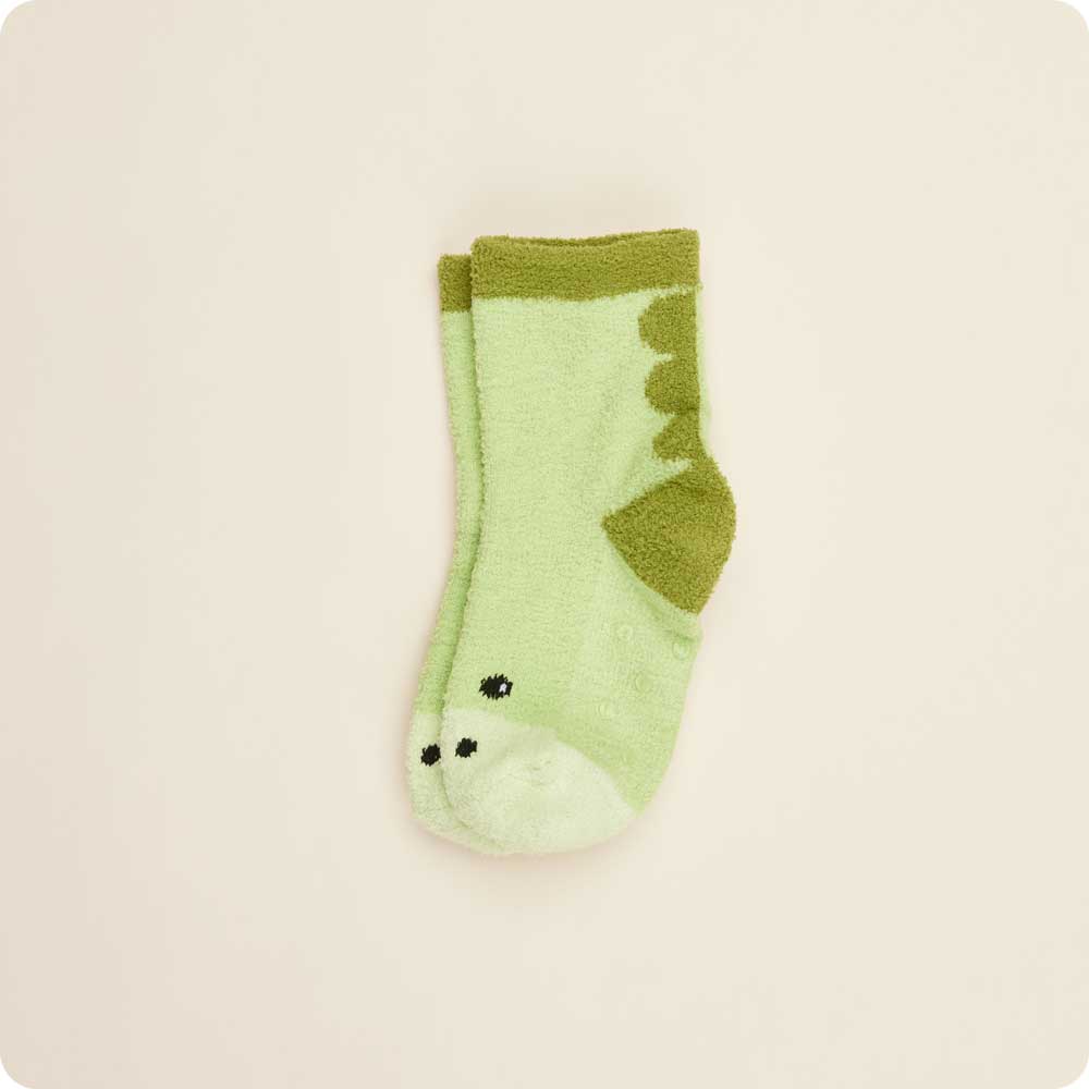 Dinosaur Crew Socks Set