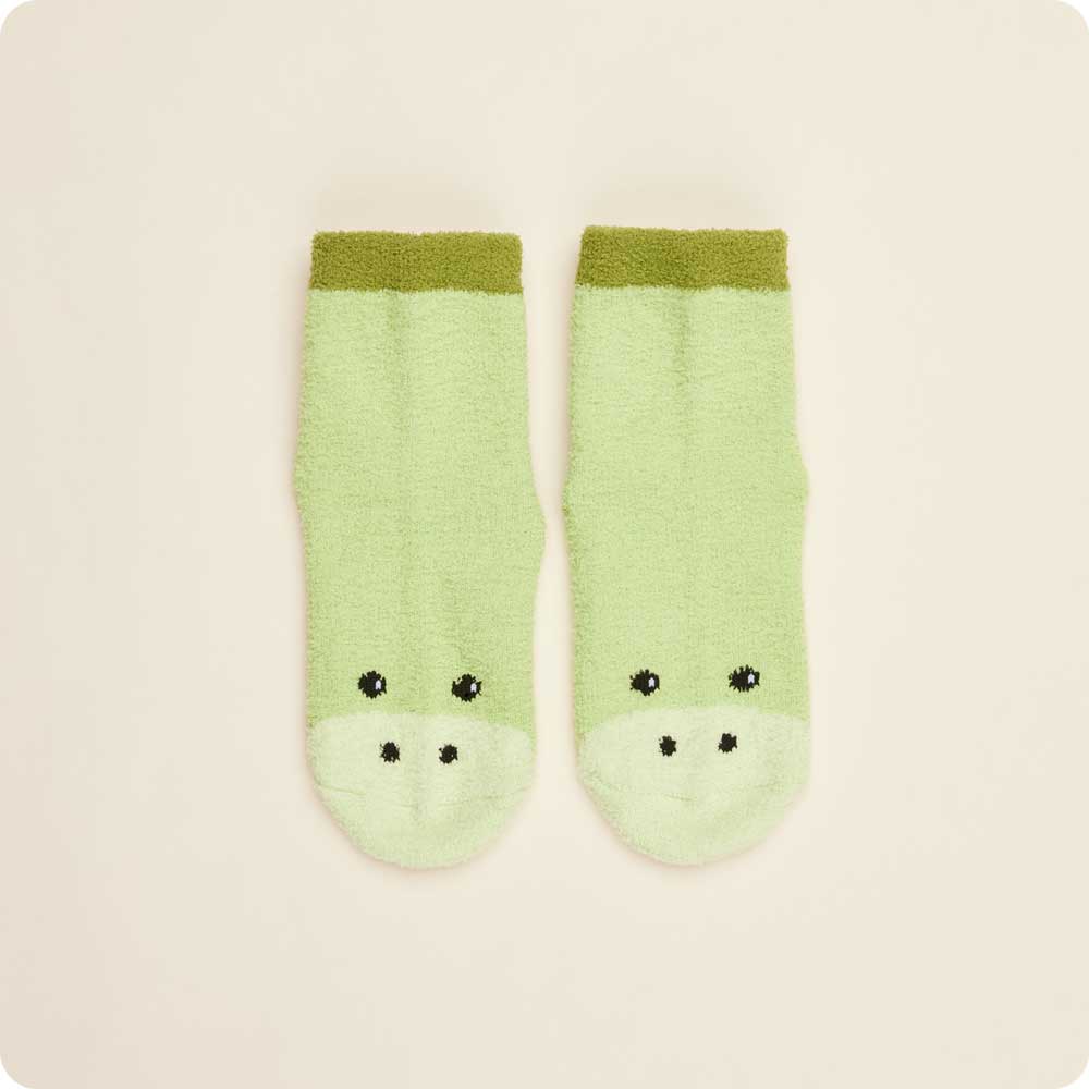 Dinosaur Crew Socks Set