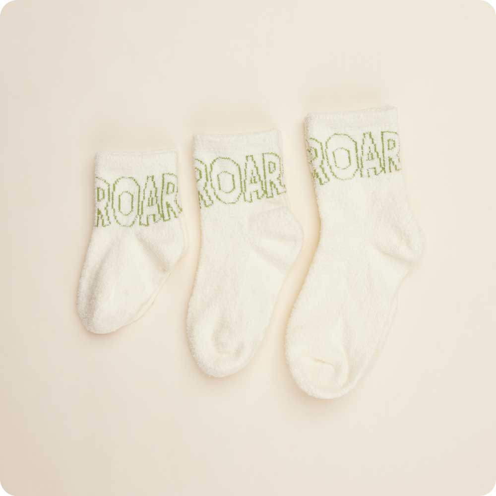 Dinosaur Crew Socks Set