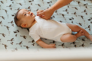 Bamboo Crib Sheet Goose | Milkbarn