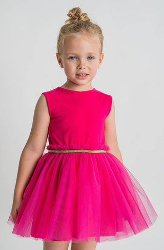 Fuchsia Brant Dress Tulle