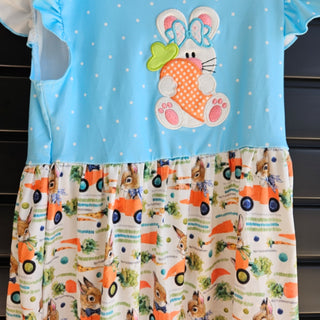 Aqua Bunny With Carrot Dress