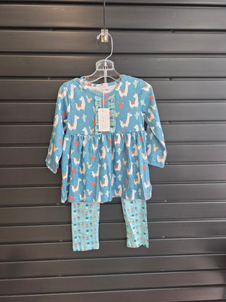 Floral Llamas 2 pc